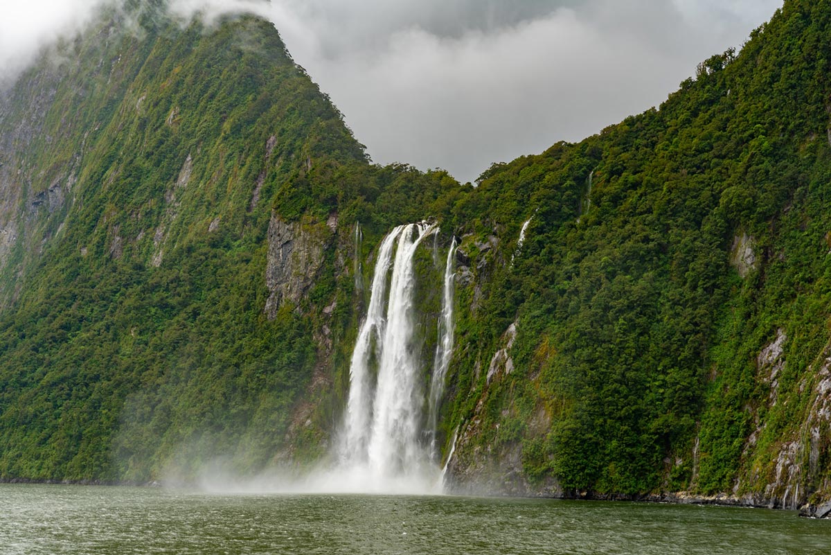Day 12: Milford Sounds Nature Cruise 