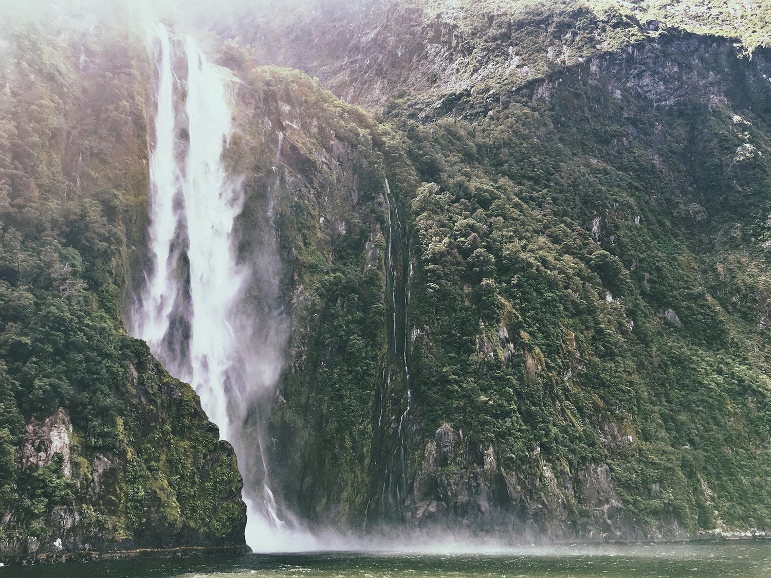 Day 4: Milford Sounds Day Excursion